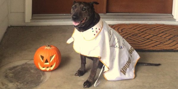 Abbie at Halloween_CF_FP.jpg
