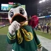 MDuck