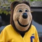 CalBear95