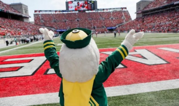Duck in Columbus.jpg