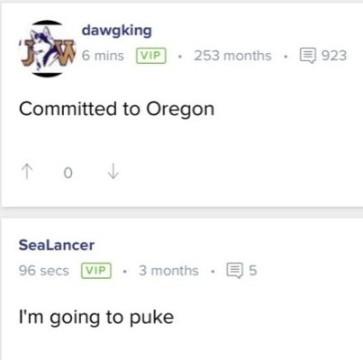 Husky 4.jpg