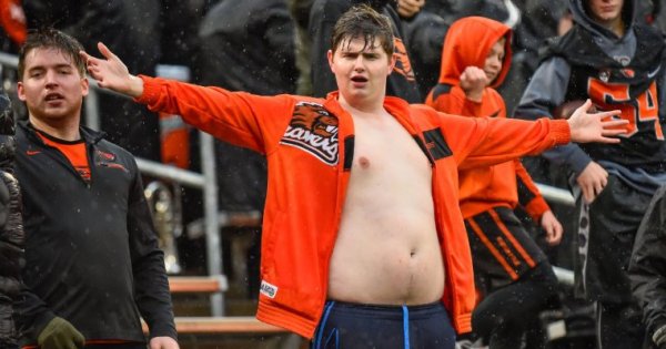 Beaver Fan_Kevin Cline.jpg