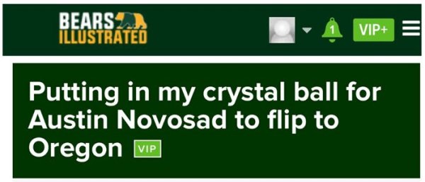 Novosad 1.jpg