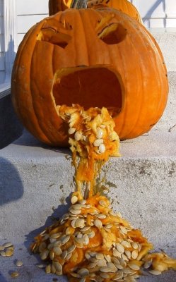 pumpkin.JPG.2aacab46e22fcfe6618084f0d5766373.JPG