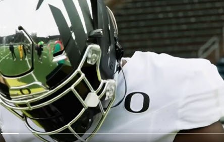 Silver Helmet back.jpg
