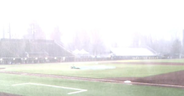 Rain.jpg