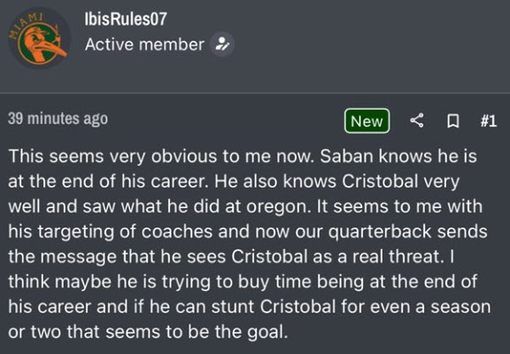 Miami Delusion.jpg