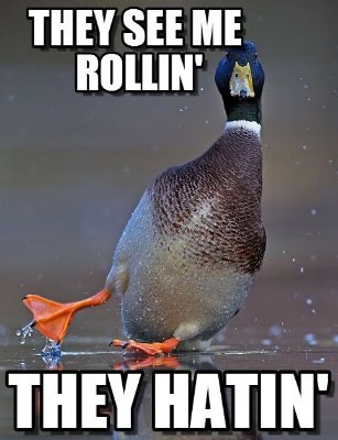 Hatin Duck.jpg