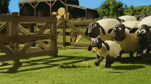 image.gif.e8e782d30c4ab84f3bd888d64d07ff27.gif