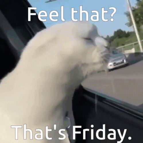 image.thumb.gif.6fc3fbe3003a430e99fff32482834964.gif