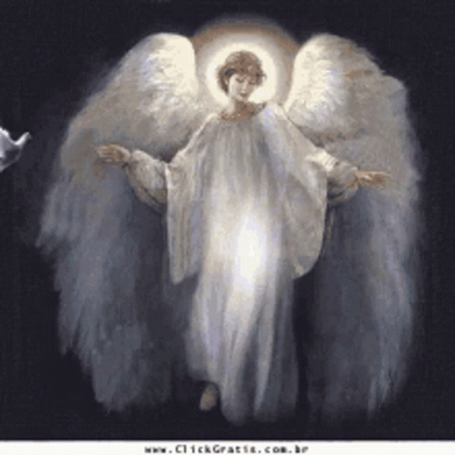 image.thumb.gif.c5c8923d116099723753593c1f61c2b9.gif