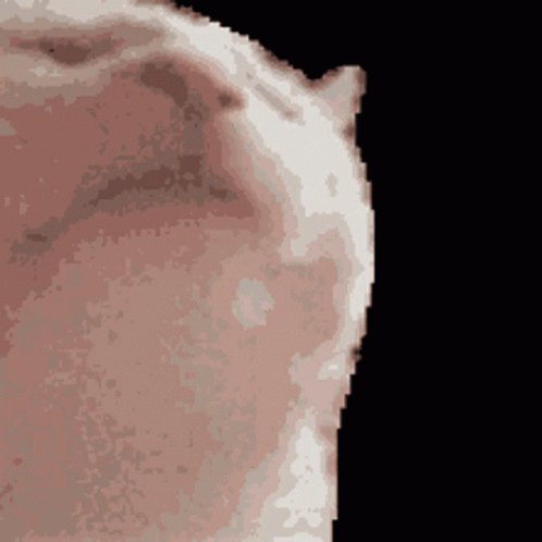 image.gif
