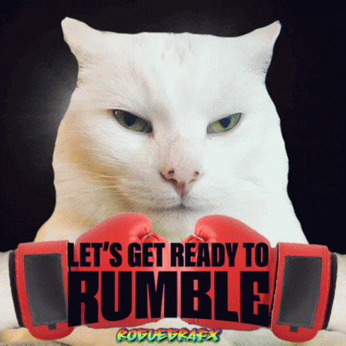 image.thumb.gif.265c7e8a2c6deb40e4cd6fdd0375cf03.gif