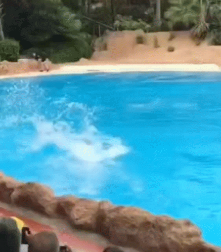 image.thumb.gif.26dfc625210bffe54ba11c375a277621.gif