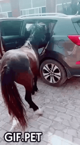 image.thumb.gif.a9622de1507cf221a8e9e4682a3dd940.gif