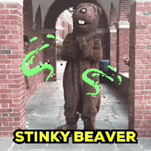 image.thumb.gif.a9ddc54562518e3fac3e2db67e68c71b.gif