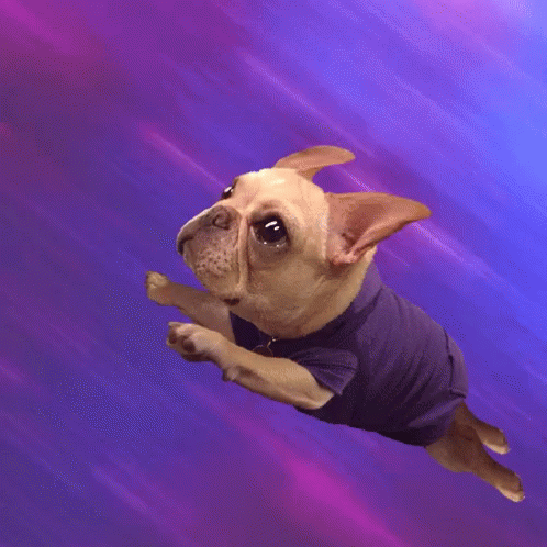 image.thumb.gif.fc618c44664456f016916f2e05f35490.gif