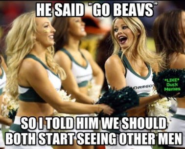 Beaver Meme1.jpg