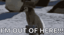 run-running.gif.f83e3ac1199d18f220e78cb522769898.gif