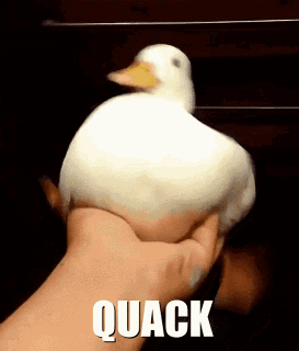 Resized_tenor_5745432851561627754_mediumgif_28375175512715.gif