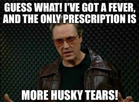 Husky Fun.jpg