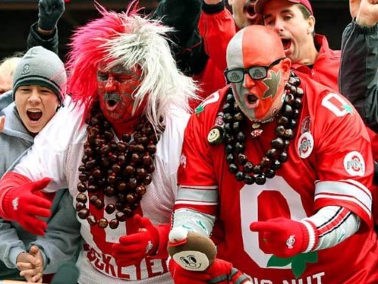 Ohio State Fans.jpg