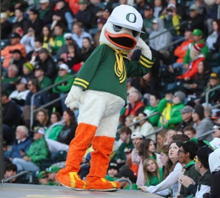Baseball Duck.jpg