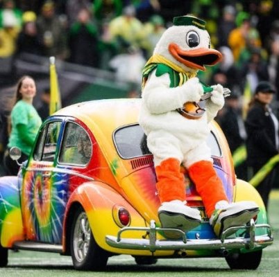 Grateful Duck_Forum.jpg