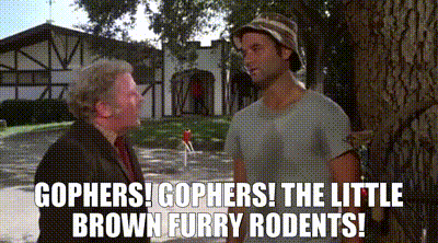 image.gif
