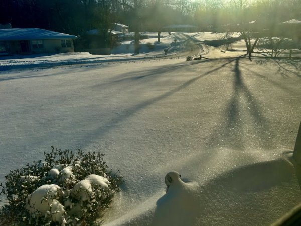 IMG_3207.jpeg