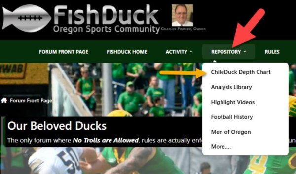 ChileDuck Depth Chart for Spring.jpg